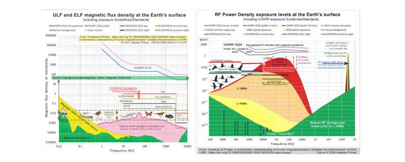 איורים המדגמים את רמות החשיפה לקרינה על מישור התדר, טבעית (בירוק) ומעשי ידי אדם (בצהוב , בז, ואדום לפי השנים), את התקנים ואת ההתקדמות של החשיפה עם השנים.
המקור, מאמרו של פיליפס אלדשייר Alasdair Philips
Henshaw, D. L., & Philips, A. (2024). A mechanistic understanding of human magnetoreception validates the phenomenon of electromagnetic hypersensitivity (EHS). International Journal of Radiation Biology, 101(2), 186–204. https://doi.org/10.1080/09553002.2024.2435329
